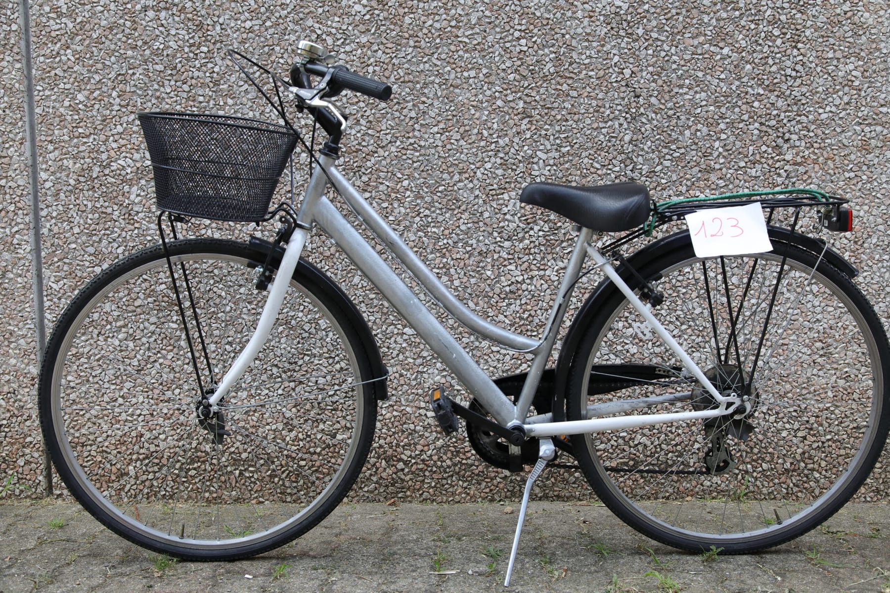 Bicicletta da donna n° 123
