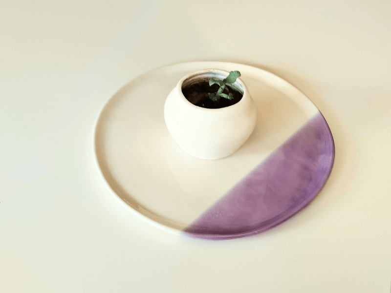 Piatto XL viola violettta